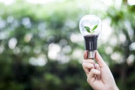 The power grid companies – the heroes of the climate crisis