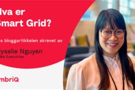 tekst med "Hva er Smart Grid?" og bilde av Myselie